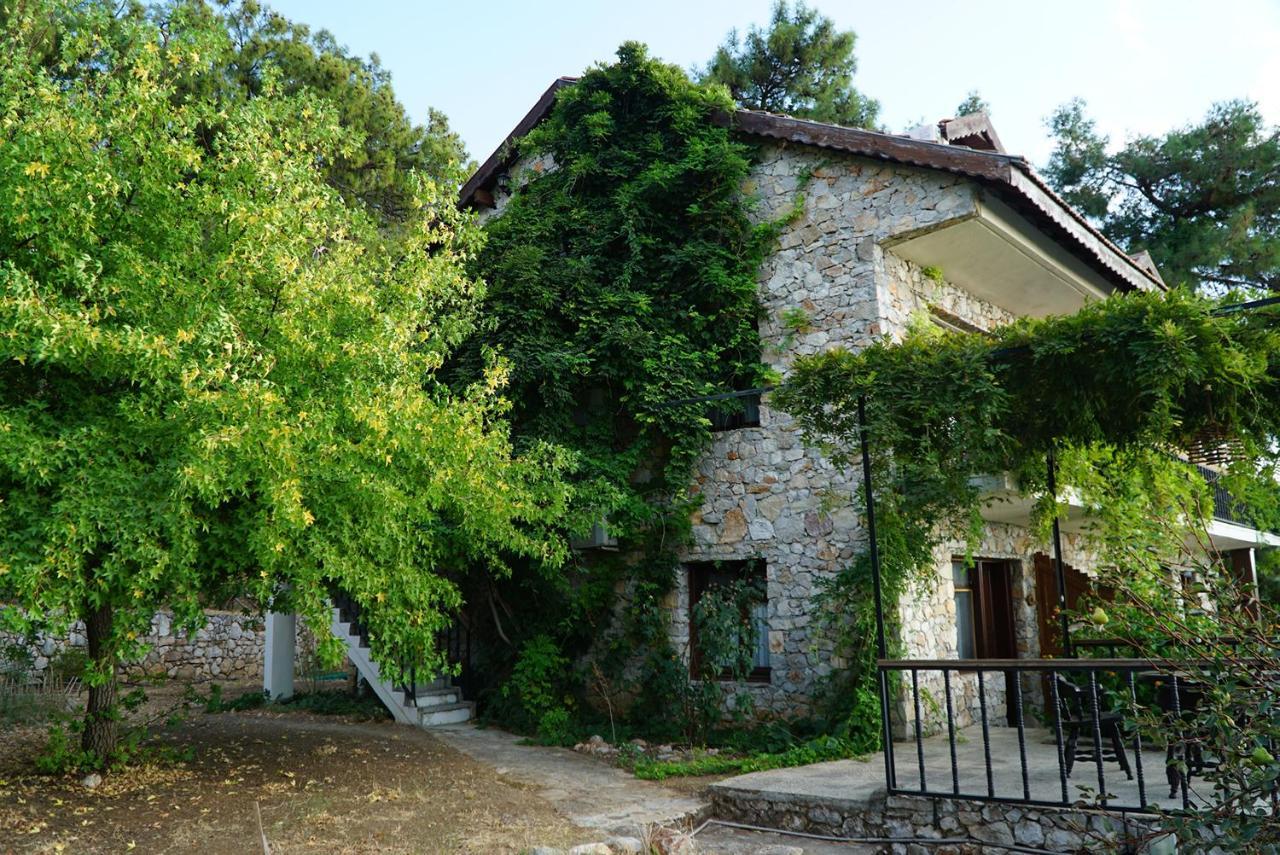 Faralia Hotel Faralya Exterior photo